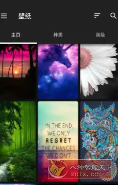 ZEDGE 铃声和壁纸v9.6.1高级版-山云部落 - 游戏资源下载 | 视频课程学习 | 云盘AI工具 - sy.team