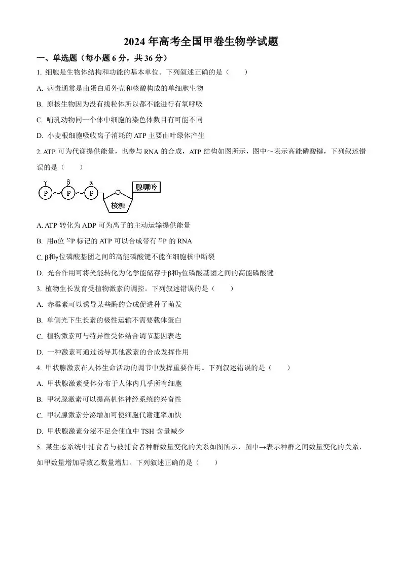 2024年高考生物试卷（全国甲卷）（空白卷）-山云部落 - 游戏资源下载 | 视频课程学习 | 云盘AI工具 - sy.team