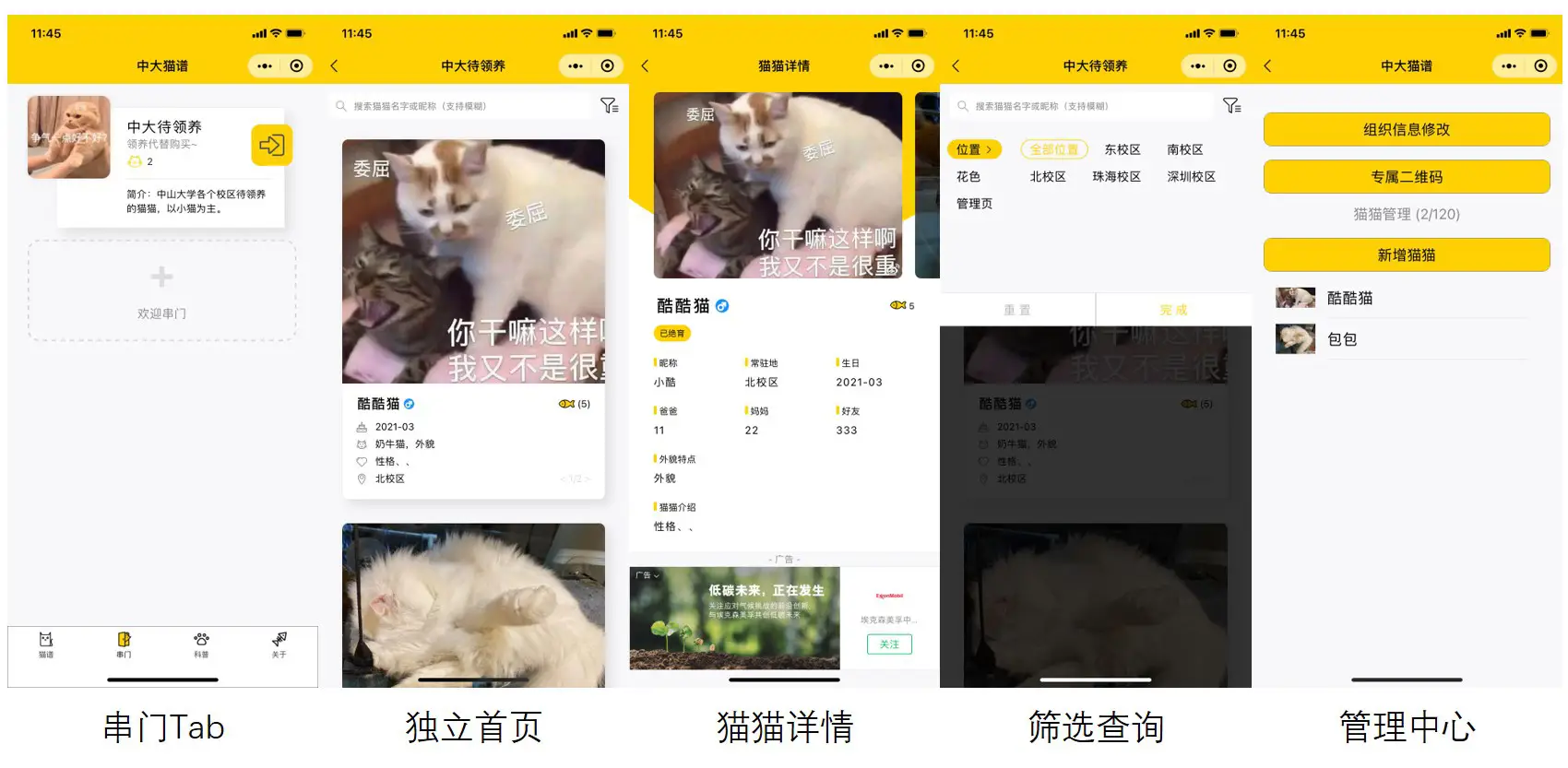 校园流浪猫记录档案小程序模板-山云部落 - 游戏资源下载 | 视频课程学习 | 云盘AI工具 - sy.team