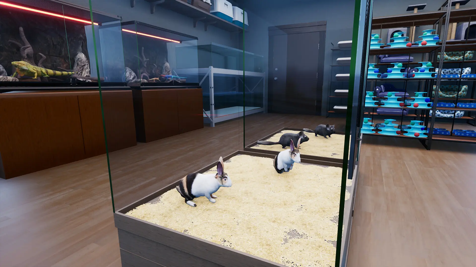 异域风情2：宠物店模拟器/Exotica 2: Pet Shop Simulator-山云部落 - 游戏资源下载 | 视频课程学习 | 云盘AI工具 - sy.team