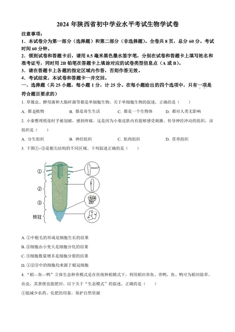 2024年陕西省中考生物真题（空白卷）-山云部落 - 游戏资源下载 | 视频课程学习 | 云盘AI工具 - sy.team