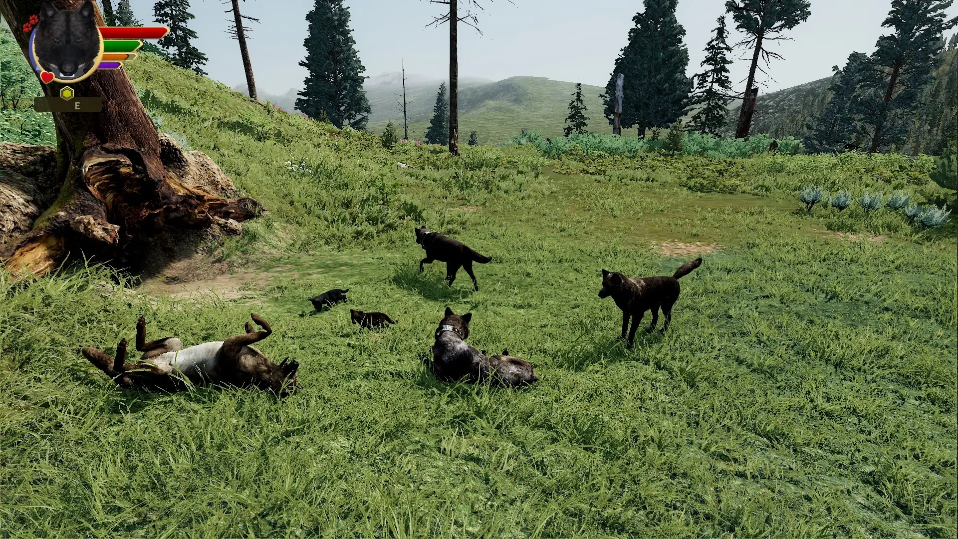 野狼谜踪：周年纪念版/WolfQuest: Anniversary Edition-山云部落 - 游戏资源下载 | 视频课程学习 | 云盘AI工具 - sy.team